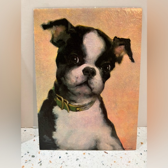 Vintage Boston Terrier Puppy Lithograph Print – Mid Century Dog Art - Picture 2 of 5